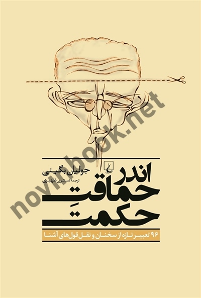 اندر حماقت حکمت جولیان بگینی باترجمه نسترن ظهیری انتشارات ققنوس